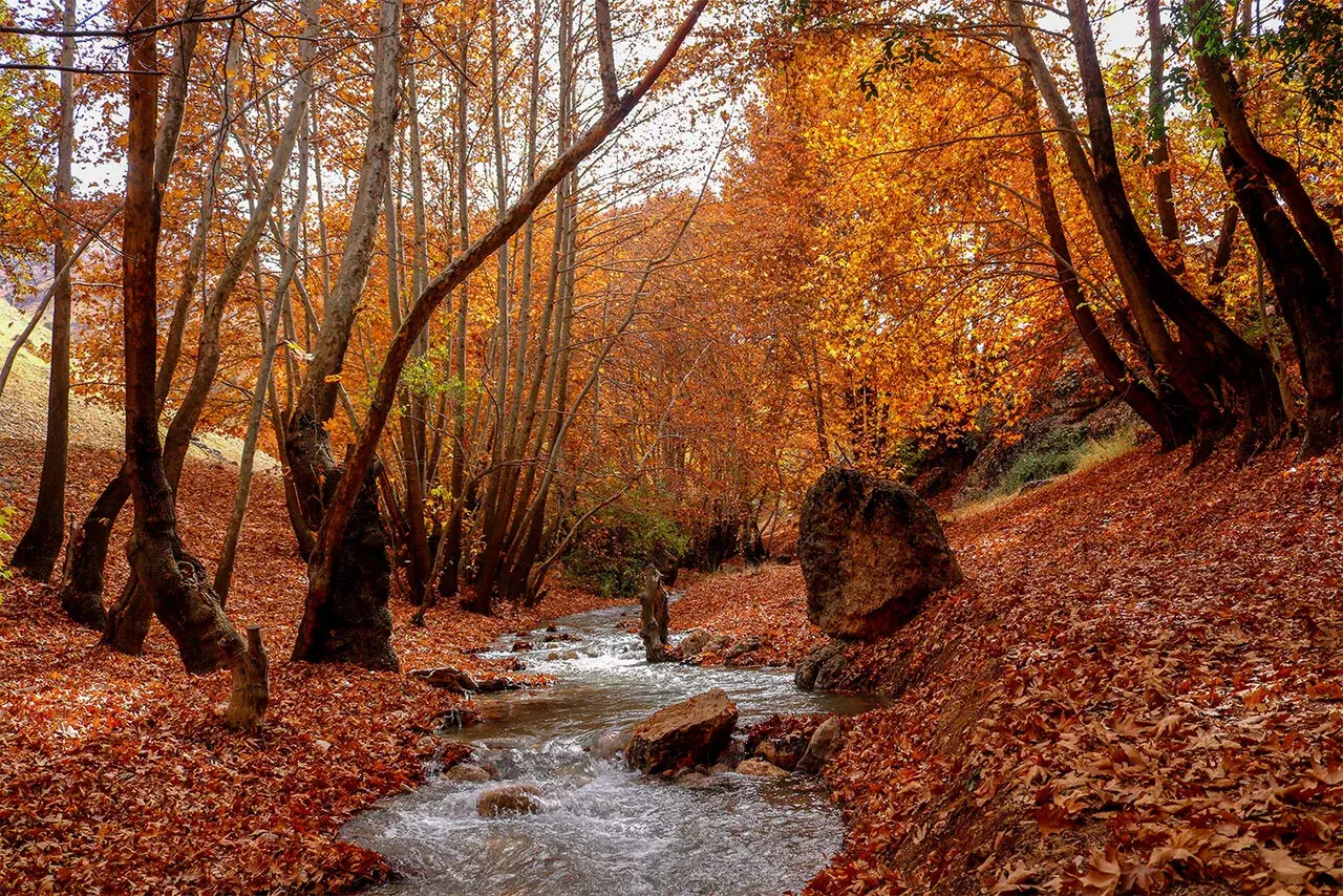 jagharghmashhad